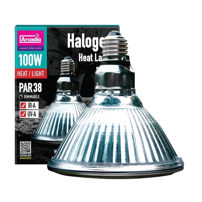 ARCADIA Halogen Heat/Flood Lamp