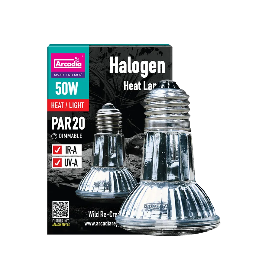 ARCADIA Halogen Heat/Flood Lamp