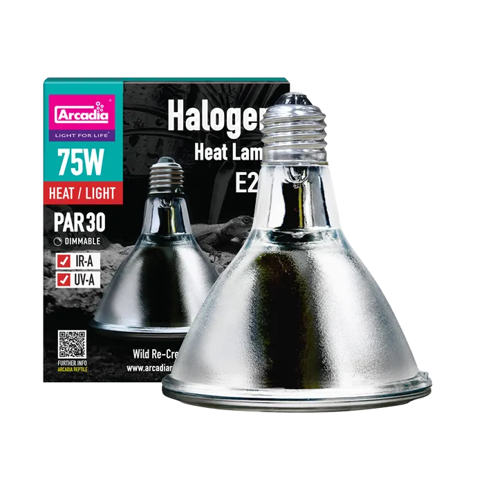 ARCADIA Halogen Heat/Flood Lamp