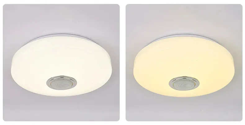 Ceiling Lamps Music Player Bluetooth Remote APP Control.