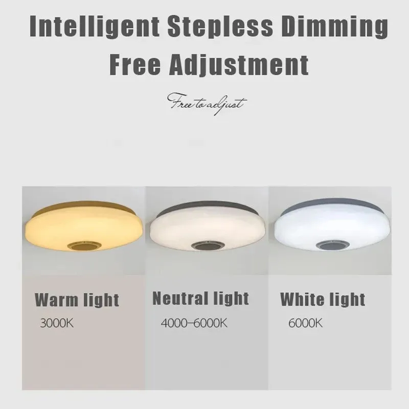 Ceiling Lamps Music Player Bluetooth Remote APP Control.