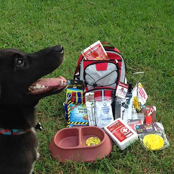 Deluxe Dog Survival Kit
