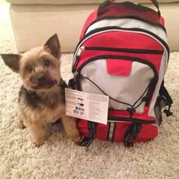 Deluxe Dog Survival Kit