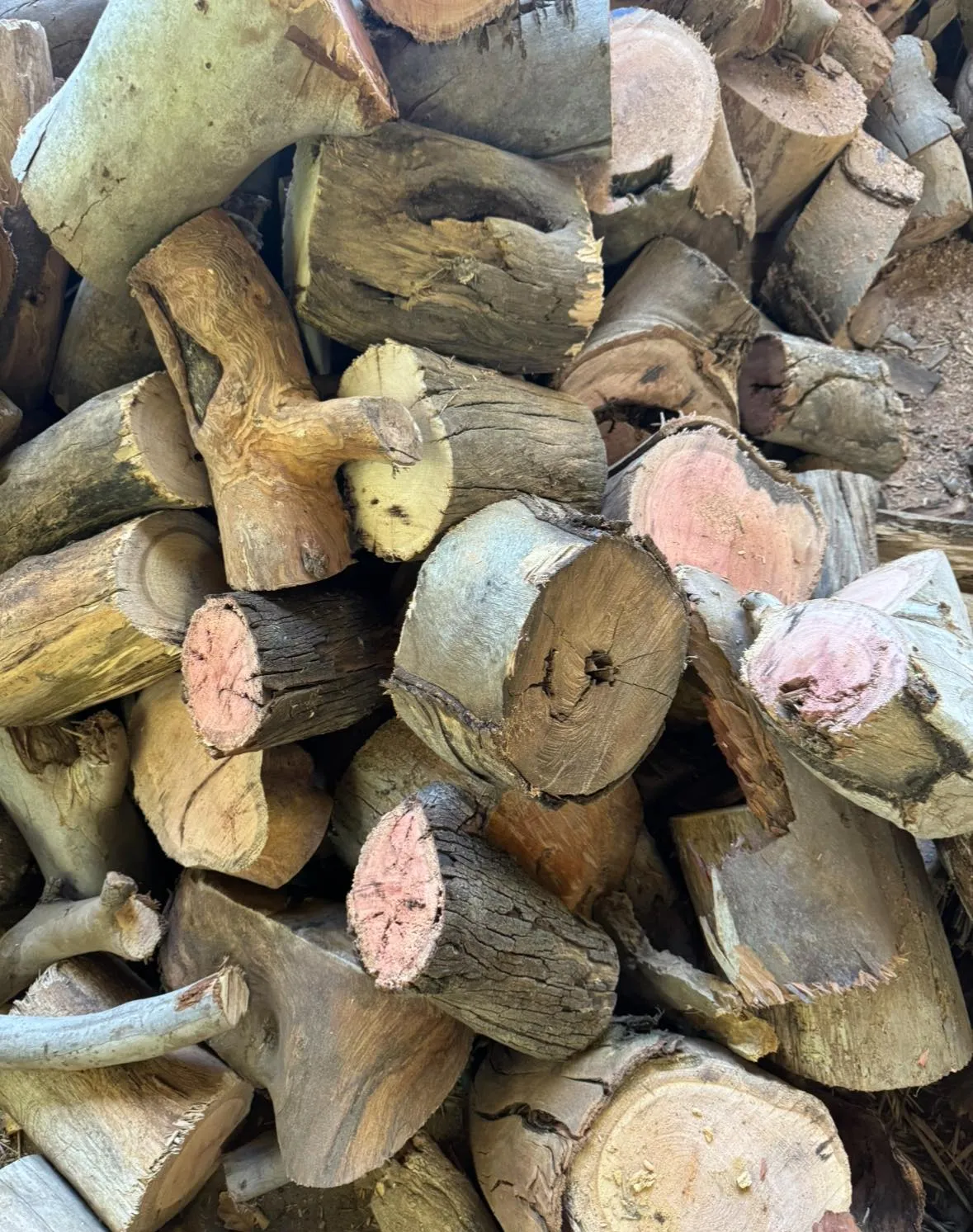 Firewood