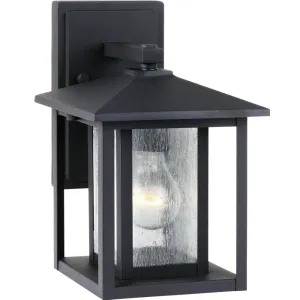 Hunnington 1-Light Outdoor Wall Lantern
