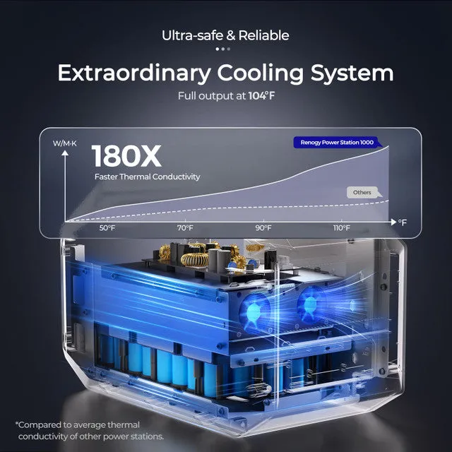 PHOENIX 1000 Portable Power Station