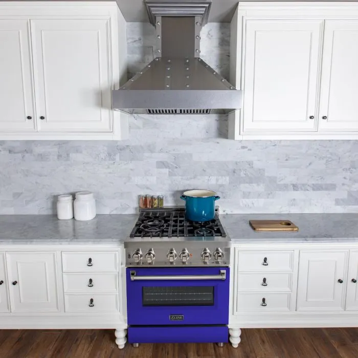 ZLINE 30 IN. Professional Dual Fuel Range with Blue Matte Door (RA-BM-30)